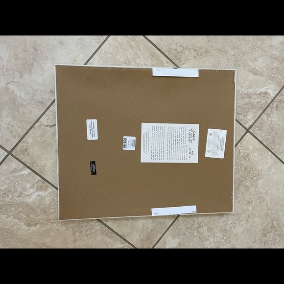 Plant Photo - Picture 2 of 4